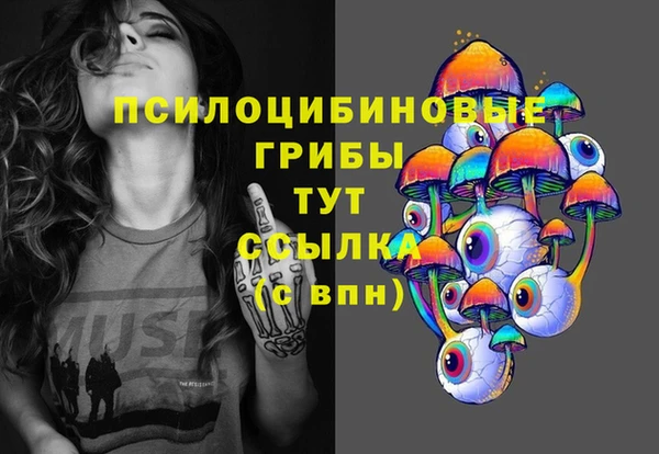 первитин Володарск